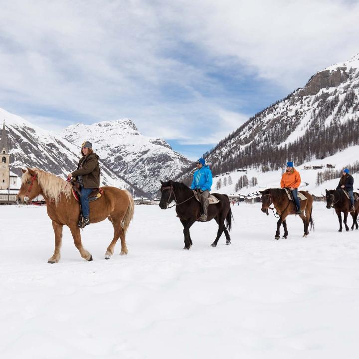 Passeggiate a cavallo